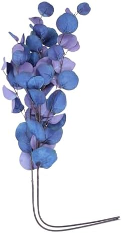 Eucalyptus Perfect Pair Plant House Blue