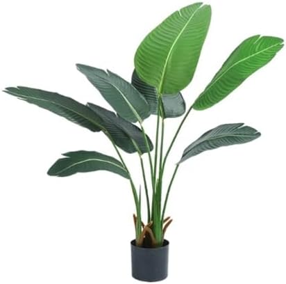 RT Bonsai Tree B essentials