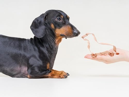 Handcrafted USA Dachshund Cookie Cutter