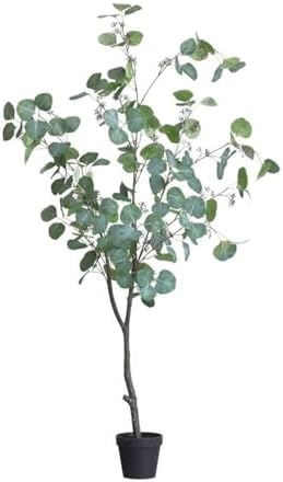 Eco-Friendly Eucalyptus Tree
