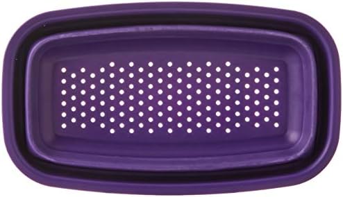 Progressive Collapsible Berry Colander 1-Pack