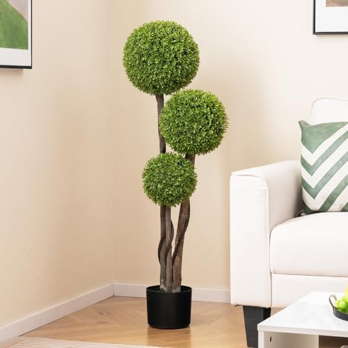 Gorgeous Boxwood Topiary Tree