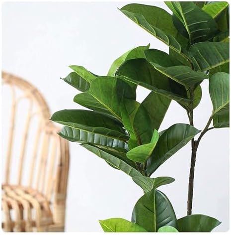 Ominator for Indoor Green Spaces
