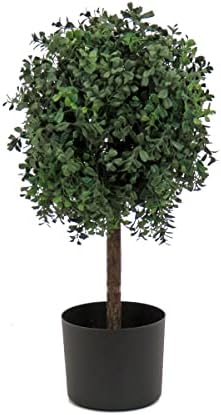 Elegant Boxwood Topiary