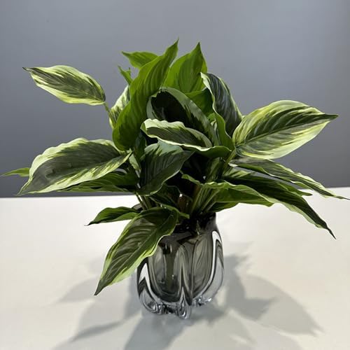 4-Piece Variegated Hosta Artificial Plant