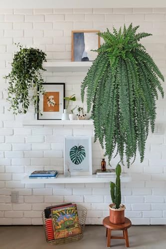 GnFlus Fake Fern 57 Outdoor Plant