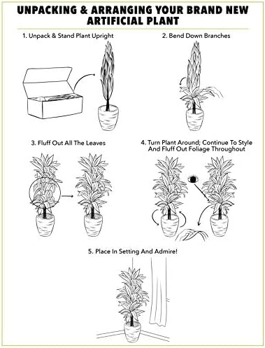 Elegant Olive Tree Topiary IndoorOutdoor