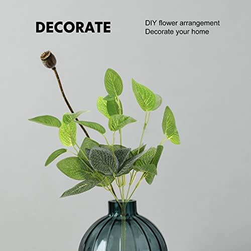 GRCQLWT Eucalyptus-Implicit Outdoor Decor