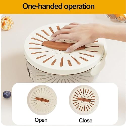 Dual Layer Washing Bowl with Foldable Handle for Fruit Vegetable