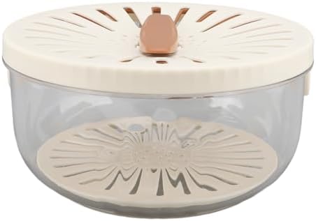 Dual Layer Washing Bowl with Foldable Handle for Fruit Vegetable