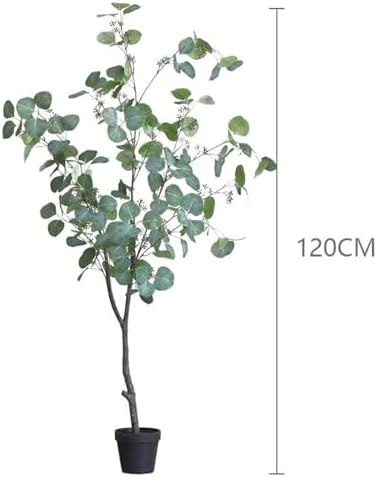 Eco-Friendly Eucalyptus Tree