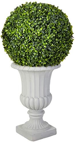 25ft Boxwood Topiary with Urn IndoorOutdoor