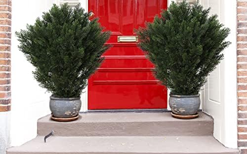Set of 2 Fake Boxwood Topiary 42-inch