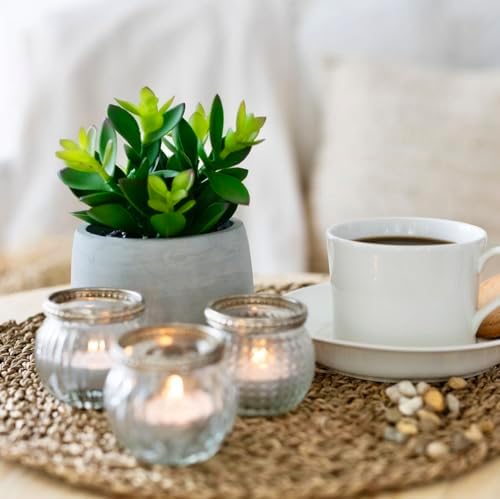 Curved artificial Succulent Plant for Home Decor