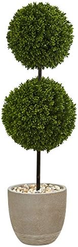 Boxwood Double Ball Topiary Theeting