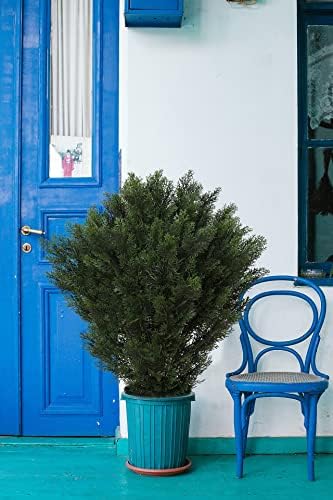 Set of 2 Fake Boxwood Topiary 42-inch