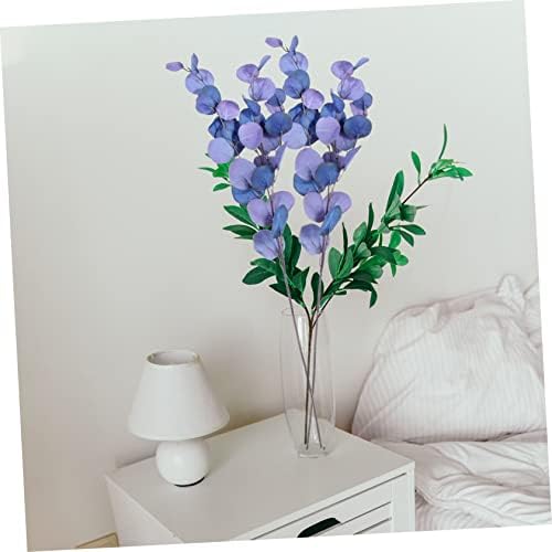 Eucalyptus Perfect Pair Plant House Blue