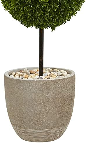 Boxwood Double Ball Topiary Theeting