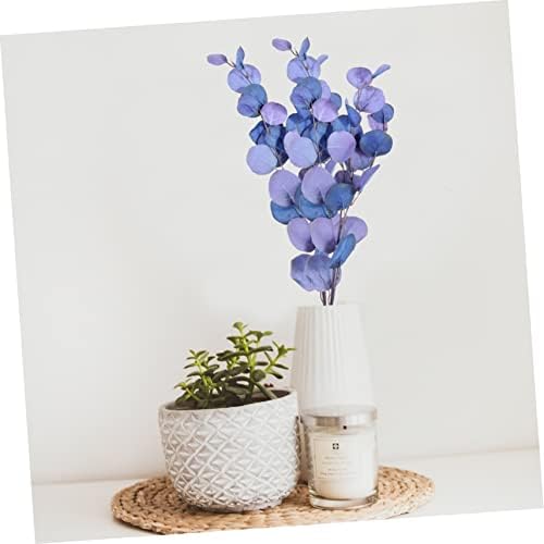 Eucalyptus Perfect Pair Plant House Blue