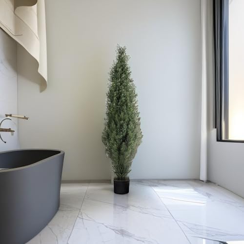 Elegant Outdoor Cedar Topiaries