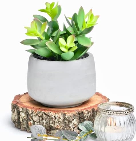 Curved artificial Succulent Plant for Home Decor