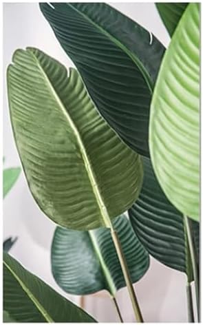 RT Bonsai Tree B essentials