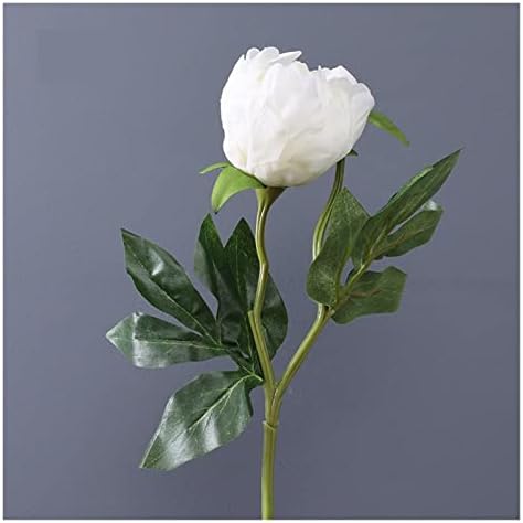 GaRcan Fresh Peonies Bouquet
