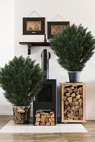 Set of 2 Fake Boxwood Topiary 42-inch