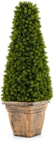 Elegant Boxwood Cone Topiary