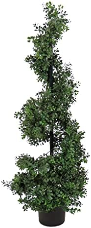 Handcrafted Boxwood Spiral Topiary