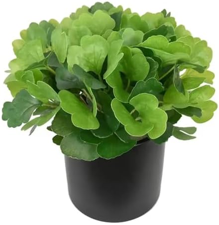 3 Pcs Fake Silk Ginkgo Shrub Plant Set