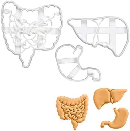 Intestines Liver and Stomach Cookie Cutters Set