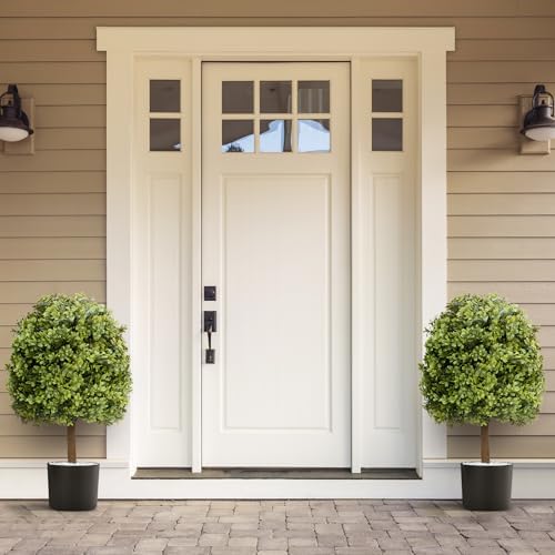 Realistic Boxwood Topiaries Set