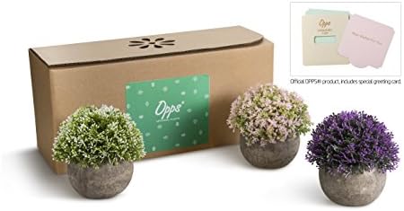 3 Mini Artificial Plants for Home Dcor