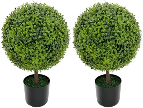 Luxury 2-Pack Boxwood Topiaries