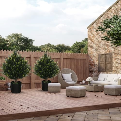 Natural-Filled Cedar Outdoor Potted Topiary