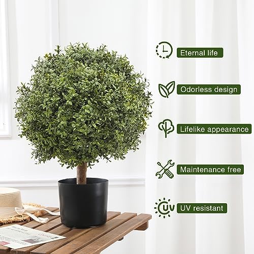 Set of 2 Decor Boxwood Ball Topiary 245