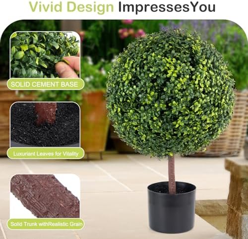 Elegant Boxwood Topiary for Your Home Decor