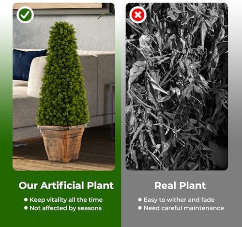 Elegant Boxwood Cone Topiary