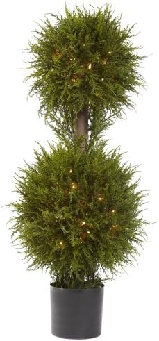 Stately Cedar Topiary with Lights