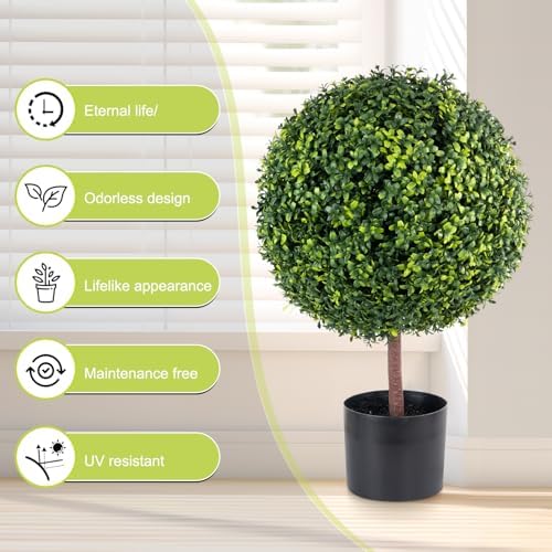 Elegant Boxwood Topiary for Your Home Decor