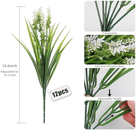Plants Flowers for Outside