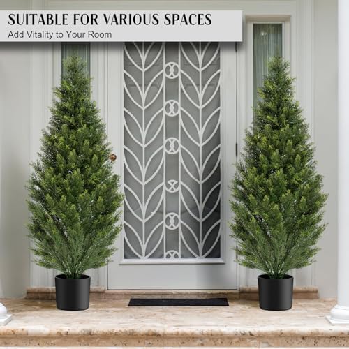Cedar Tree Topiary Potted Plants for Your Home Porch