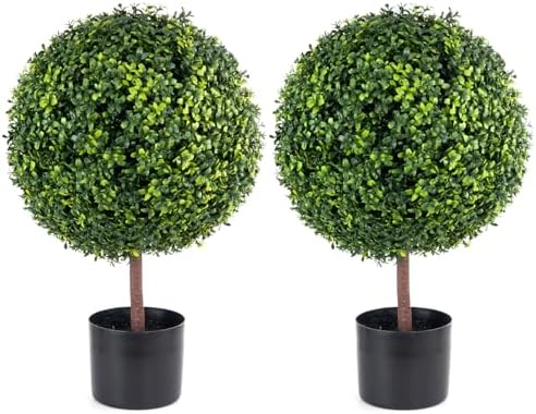 Elegant Boxwood Topiary for Your Home Decor
