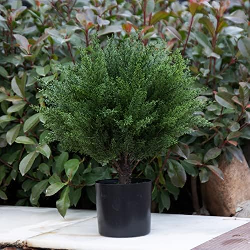 17 Stylish Topiary Decoration for Home Outdoor Use