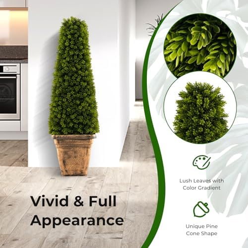 Elegant Boxwood Cone Topiary