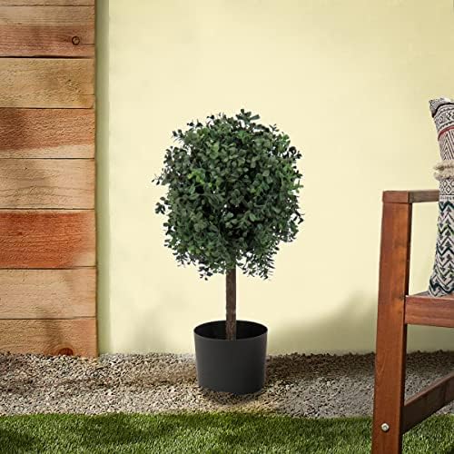 Elegant Boxwood Topiary
