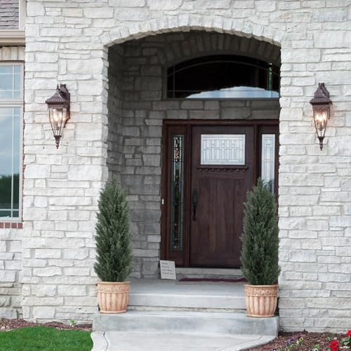 Bloom Times 5ft UV-Resistant Cedar Topiaries