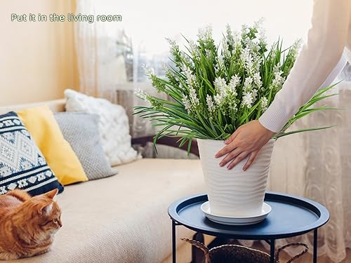 Plants Flowers for Outside