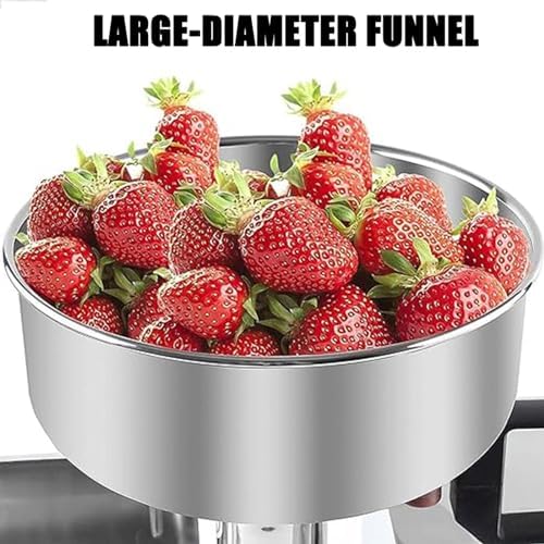 Electric Tomato Strainer
